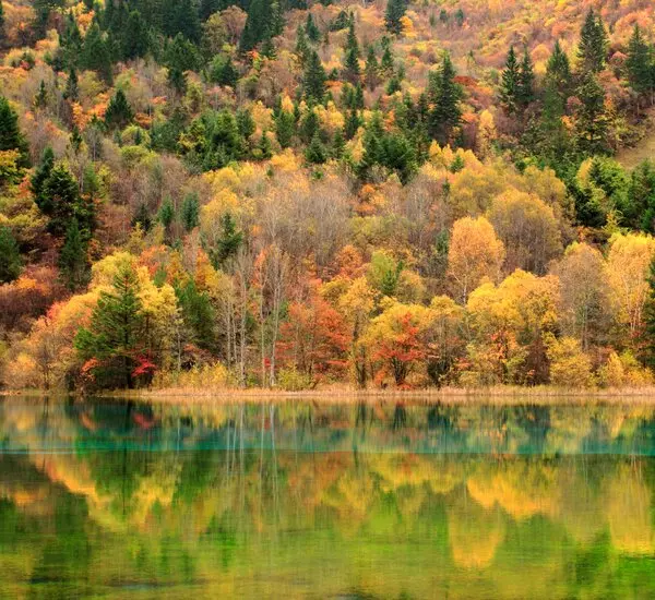 7-Day Chengdu and Jiuzhaigou Fairyland Tour